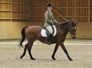 Image 50 in EASTON PARK STUD. UNAFFIL. DRESSAGE, JAN 2. 2016