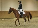 Image 54 in EASTON PARK STUD. UNAFFIL. DRESSAGE, JAN 2. 2016