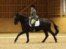 Image 68 in EASTON PARK STUD. UNAFFIL. DRESSAGE, JAN 2. 2016