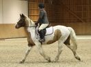 Image 7 in EASTON PARK STUD. UNAFFIL. DRESSAGE, JAN 2. 2016