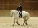 Image 76 in EASTON PARK STUD. UNAFFIL. DRESSAGE, JAN 2. 2016