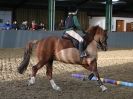 Image 99 in CAROLINE POWELL TRAINING ( sessions 1, 2 and 3 ) 3 Jan. 2016.