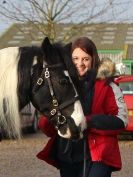 Image 18 in BRITISH SKEWBALD AND PIEBALD ASS'N.  NEW YEAR SHOWING SHOW. 9. JAN. 2016. IN HAND CLASSES