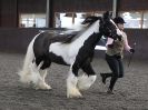 Image 28 in BRITISH SKEWBALD AND PIEBALD ASS'N.  NEW YEAR SHOWING SHOW. 9. JAN. 2016. IN HAND CLASSES