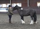 Image 31 in BRITISH SKEWBALD AND PIEBALD ASS'N. NEW YEAR SHOWING SHOW. 9. JAN. 2016. IN HAND CLASSES