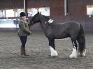 Image 31 in BRITISH SKEWBALD AND PIEBALD ASS'N.  NEW YEAR SHOWING SHOW. 9. JAN. 2016. IN HAND CLASSES