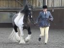 Image 33 in BRITISH SKEWBALD AND PIEBALD ASS'N.  NEW YEAR SHOWING SHOW. 9. JAN. 2016. IN HAND CLASSES