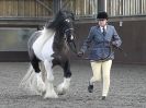 Image 33 in BRITISH SKEWBALD AND PIEBALD ASS'N. NEW YEAR SHOWING SHOW. 9. JAN. 2016. IN HAND CLASSES