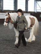 Image 35 in BRITISH SKEWBALD AND PIEBALD ASS'N. NEW YEAR SHOWING SHOW. 9. JAN. 2016. IN HAND CLASSES