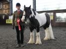 Image 37 in BRITISH SKEWBALD AND PIEBALD ASS'N.  NEW YEAR SHOWING SHOW. 9. JAN. 2016. IN HAND CLASSES