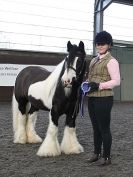 Image 38 in BRITISH SKEWBALD AND PIEBALD ASS'N. NEW YEAR SHOWING SHOW. 9. JAN. 2016. IN HAND CLASSES