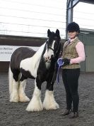 Image 38 in BRITISH SKEWBALD AND PIEBALD ASS'N.  NEW YEAR SHOWING SHOW. 9. JAN. 2016. IN HAND CLASSES