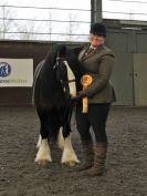 Image 39 in BRITISH SKEWBALD AND PIEBALD ASS'N. NEW YEAR SHOWING SHOW. 9. JAN. 2016. IN HAND CLASSES