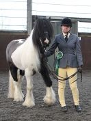 Image 40 in BRITISH SKEWBALD AND PIEBALD ASS'N. NEW YEAR SHOWING SHOW. 9. JAN. 2016. IN HAND CLASSES
