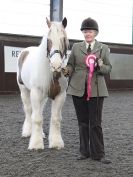 Image 41 in BRITISH SKEWBALD AND PIEBALD ASS'N. NEW YEAR SHOWING SHOW. 9. JAN. 2016. IN HAND CLASSES