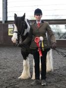 Image 42 in BRITISH SKEWBALD AND PIEBALD ASS'N.  NEW YEAR SHOWING SHOW. 9. JAN. 2016. IN HAND CLASSES