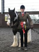 Image 42 in BRITISH SKEWBALD AND PIEBALD ASS'N. NEW YEAR SHOWING SHOW. 9. JAN. 2016. IN HAND CLASSES