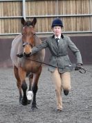 Image 43 in BRITISH SKEWBALD AND PIEBALD ASS'N. NEW YEAR SHOWING SHOW. 9. JAN. 2016. IN HAND CLASSES