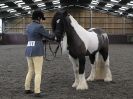 Image 48 in BRITISH SKEWBALD AND PIEBALD ASS'N. NEW YEAR SHOWING SHOW. 9. JAN. 2016. IN HAND CLASSES