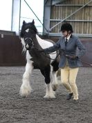 Image 50 in BRITISH SKEWBALD AND PIEBALD ASS'N. NEW YEAR SHOWING SHOW. 9. JAN. 2016. IN HAND CLASSES