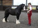 Image 55 in BRITISH SKEWBALD AND PIEBALD ASS'N. NEW YEAR SHOWING SHOW. 9. JAN. 2016. IN HAND CLASSES