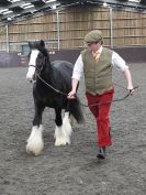 Image 57 in BRITISH SKEWBALD AND PIEBALD ASS'N. NEW YEAR SHOWING SHOW. 9. JAN. 2016. IN HAND CLASSES