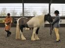 Image 60 in BRITISH SKEWBALD AND PIEBALD ASS'N. NEW YEAR SHOWING SHOW. 9. JAN. 2016. IN HAND CLASSES