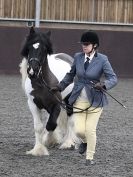 Image 61 in BRITISH SKEWBALD AND PIEBALD ASS'N. NEW YEAR SHOWING SHOW. 9. JAN. 2016. IN HAND CLASSES