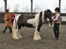 Image 63 in BRITISH SKEWBALD AND PIEBALD ASS'N.  NEW YEAR SHOWING SHOW. 9. JAN. 2016. IN HAND CLASSES