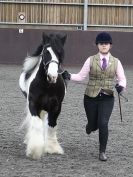 Image 64 in BRITISH SKEWBALD AND PIEBALD ASS'N. NEW YEAR SHOWING SHOW. 9. JAN. 2016. IN HAND CLASSES