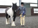 Image 66 in BRITISH SKEWBALD AND PIEBALD ASS'N.  NEW YEAR SHOWING SHOW. 9. JAN. 2016. IN HAND CLASSES