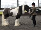 Image 75 in BRITISH SKEWBALD AND PIEBALD ASS'N. NEW YEAR SHOWING SHOW. 9. JAN. 2016. IN HAND CLASSES
