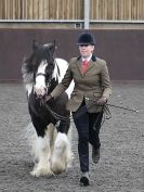 Image 76 in BRITISH SKEWBALD AND PIEBALD ASS'N. NEW YEAR SHOWING SHOW. 9. JAN. 2016. IN HAND CLASSES