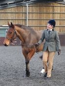 Image 8 in BRITISH SKEWBALD AND PIEBALD ASS'N.  NEW YEAR SHOWING SHOW. 9. JAN. 2016. IN HAND CLASSES