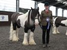 Image 80 in BRITISH SKEWBALD AND PIEBALD ASS'N.  NEW YEAR SHOWING SHOW. 9. JAN. 2016. IN HAND CLASSES