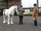 Image 83 in BRITISH SKEWBALD AND PIEBALD ASS'N. NEW YEAR SHOWING SHOW. 9. JAN. 2016. IN HAND CLASSES