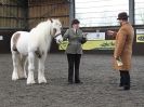 Image 83 in BRITISH SKEWBALD AND PIEBALD ASS'N.  NEW YEAR SHOWING SHOW. 9. JAN. 2016. IN HAND CLASSES