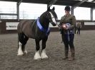 Image 88 in BRITISH SKEWBALD AND PIEBALD ASS'N. NEW YEAR SHOWING SHOW. 9. JAN. 2016. IN HAND CLASSES