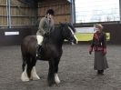 Image 1 in BRITISH SKEWBALD AND PIEBALD ASS'N NEW YEAR SHOWING SHOW. 9. JAN 2016.  RIDDEN CLASSES