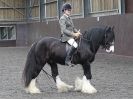 Image 10 in BRITISH SKEWBALD AND PIEBALD ASS'N NEW YEAR SHOWING SHOW. 9. JAN 2016.  RIDDEN CLASSES