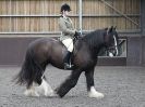 Image 12 in BRITISH SKEWBALD AND PIEBALD ASS'N NEW YEAR SHOWING SHOW. 9. JAN 2016.  RIDDEN CLASSES