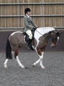 Image 13 in BRITISH SKEWBALD AND PIEBALD ASS'N NEW YEAR SHOWING SHOW. 9. JAN 2016.  RIDDEN CLASSES
