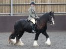 Image 14 in BRITISH SKEWBALD AND PIEBALD ASS'N NEW YEAR SHOWING SHOW. 9. JAN 2016.  RIDDEN CLASSES