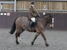 Image 15 in BRITISH SKEWBALD AND PIEBALD ASS'N NEW YEAR SHOWING SHOW. 9. JAN 2016.  RIDDEN CLASSES