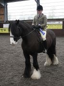 Image 17 in BRITISH SKEWBALD AND PIEBALD ASS'N NEW YEAR SHOWING SHOW. 9. JAN 2016.  RIDDEN CLASSES