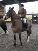 Image 18 in BRITISH SKEWBALD AND PIEBALD ASS'N NEW YEAR SHOWING SHOW. 9. JAN 2016.  RIDDEN CLASSES
