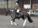 Image 22 in BRITISH SKEWBALD AND PIEBALD ASS'N NEW YEAR SHOWING SHOW. 9. JAN 2016.  RIDDEN CLASSES