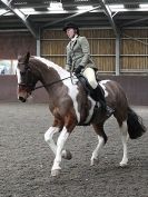 Image 23 in BRITISH SKEWBALD AND PIEBALD ASS'N NEW YEAR SHOWING SHOW. 9. JAN 2016.  RIDDEN CLASSES