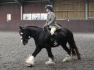 Image 24 in BRITISH SKEWBALD AND PIEBALD ASS'N NEW YEAR SHOWING SHOW. 9. JAN 2016.  RIDDEN CLASSES