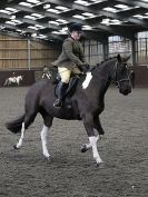 Image 25 in BRITISH SKEWBALD AND PIEBALD ASS'N NEW YEAR SHOWING SHOW. 9. JAN 2016.  RIDDEN CLASSES